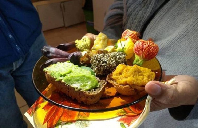 Coronavírus: Plantas Alimentícias Não Convencionais podem ser alternativa na crise