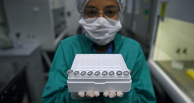 A importância da ciência no momento em que vivemos o maior desafio de nossa geração