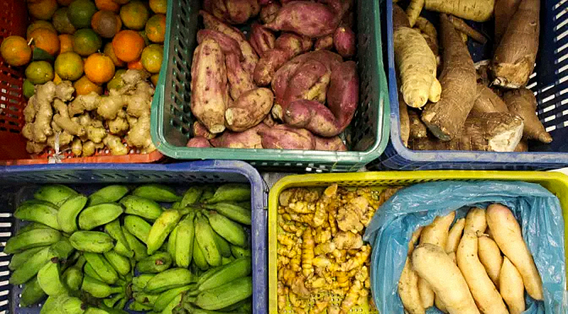 Alimentos