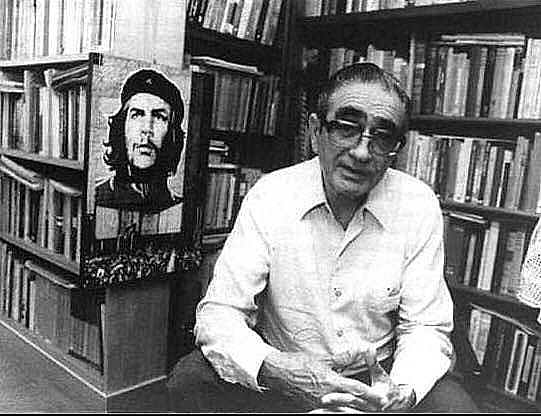 florestan fernandes