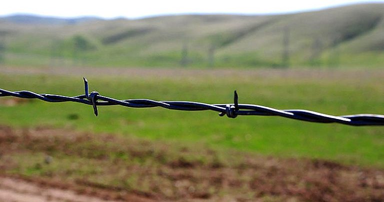 Artigo | Processos de transformação do campo chinês: da reforma agrária à atualidade