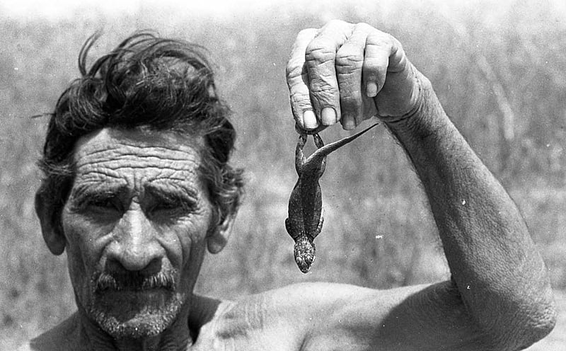 senhor segurando um calango, preto e branco, fome