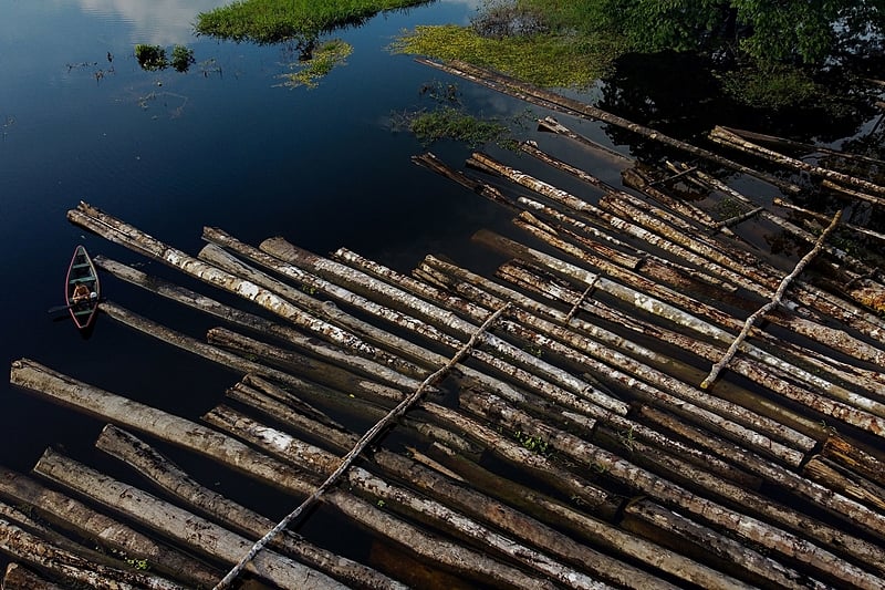 Toras de madeira apreendidas pela PM da Amazônia em Manacupuru (AM). A Polícia apreendeu cerca de 900 toras de madeira cortadas da floresta amazônica por madeireiros ilegais nesta quinta (16)