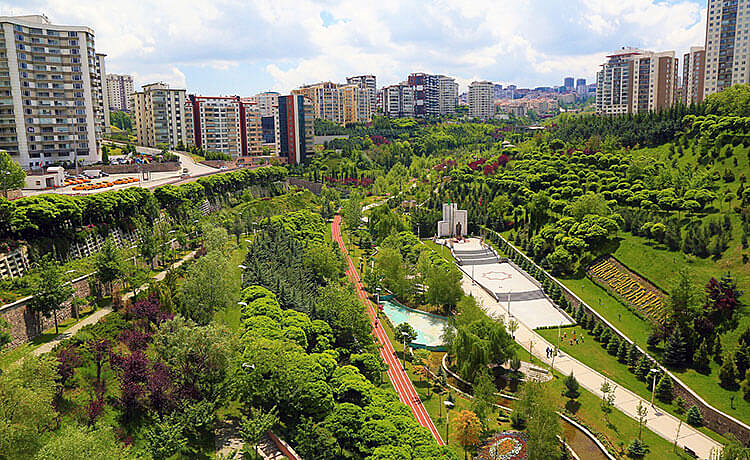 cidade, verde, sustentabilidade