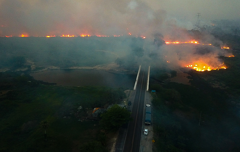 O Pantanal queima. O fogo já atinge 10% da maior área alagada do planeta