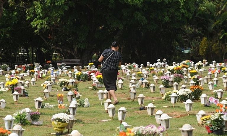 cemitério, flores, uma muleher
