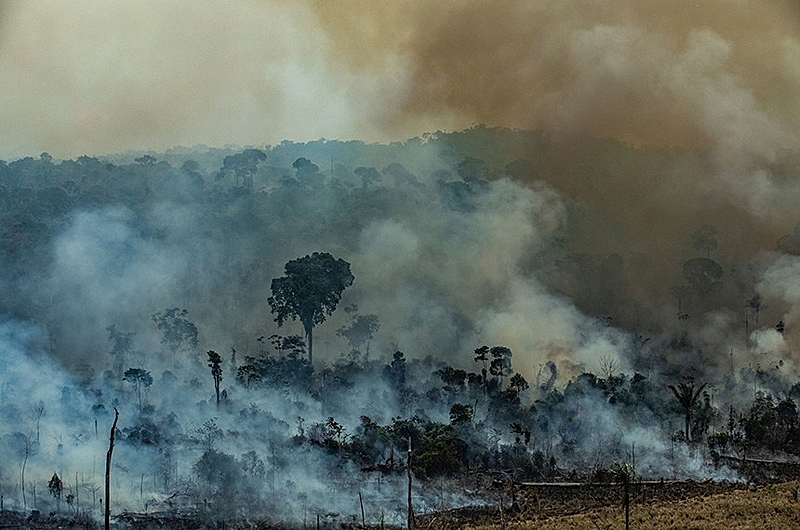 queimada amazônia