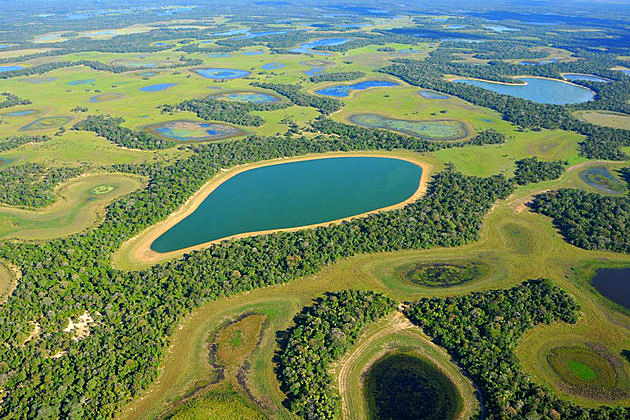 pantanal
