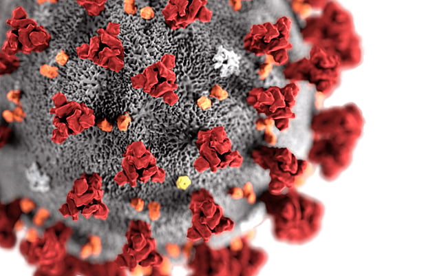 coronavirus