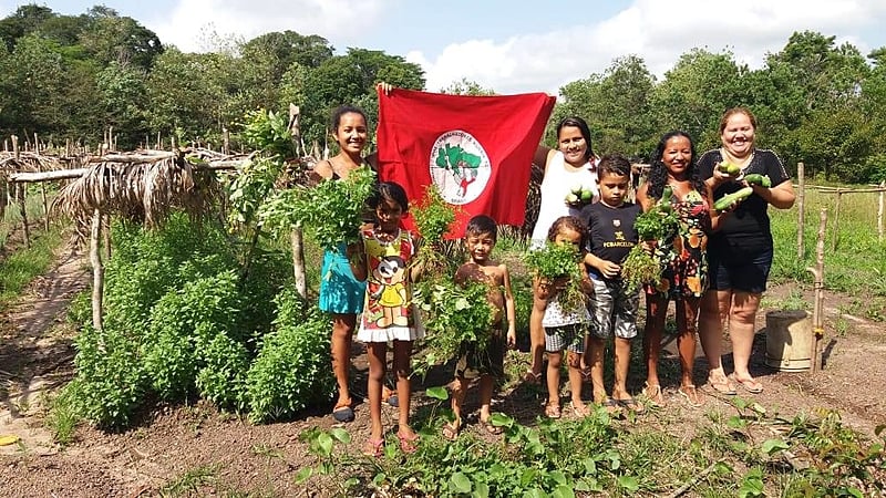 Ameaçadas de despejo, famílias do acampamento Terra Cabana, do MST, em Benevides (PA), colheram e distribuíram alimentos a outras famílias da região