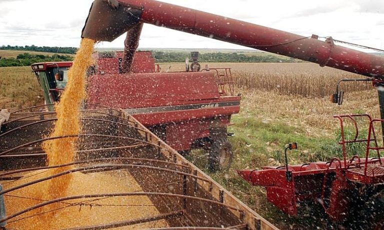 Agronegócio pagou apenas R$ 16,3 mil em imposto de exportação durante todo 2019