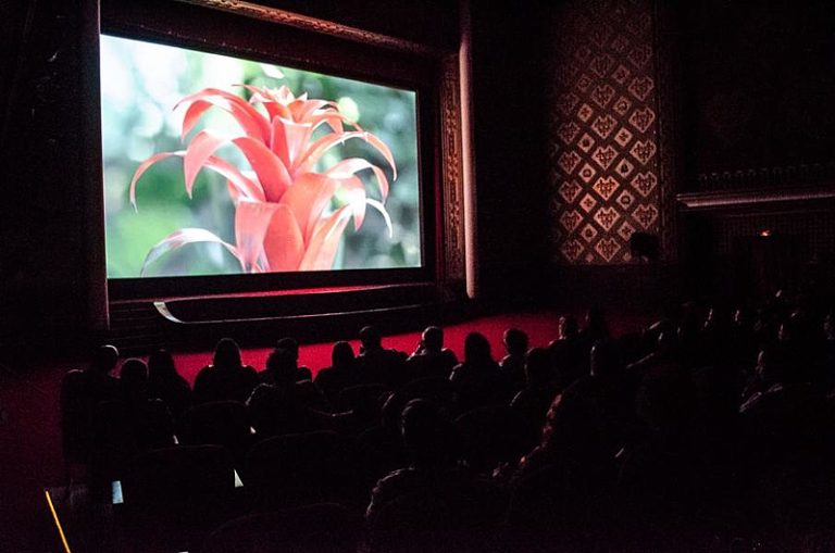 Cinema São Luiz, no Recife (PE), tem sessões gratuitas com temática ambiental neste domingo