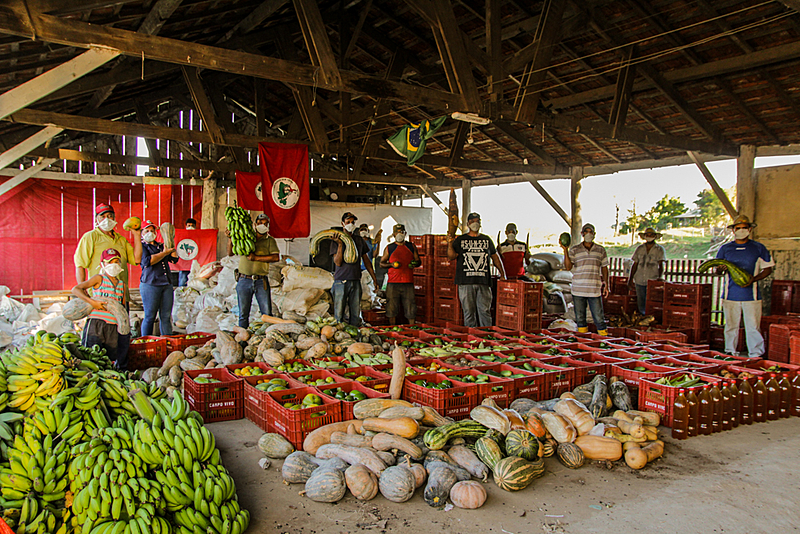doação alimentos mst