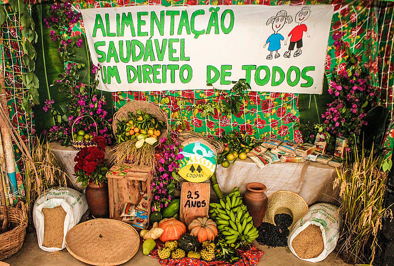 mst, agroecologia