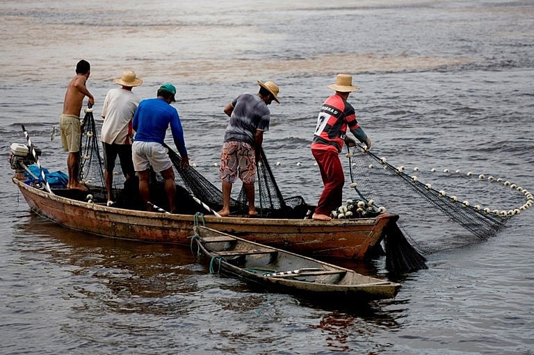 De acordo com dados do Governo Federal, atualmente existem mais de um milhão de pescadores profissionais no Brasil
