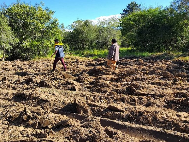 Comunidade Mbyá-Guarani Pindó Poty denuncia destruição de plantio em seu território
