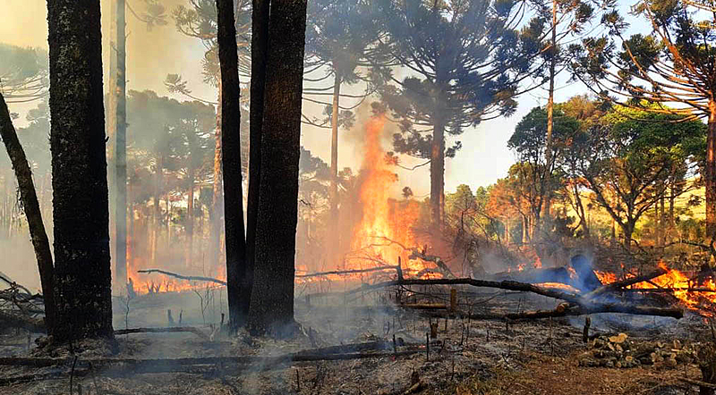 Incêndio em zona de Mata Atlântica, em Laranjeiras do Sul, no Paraná