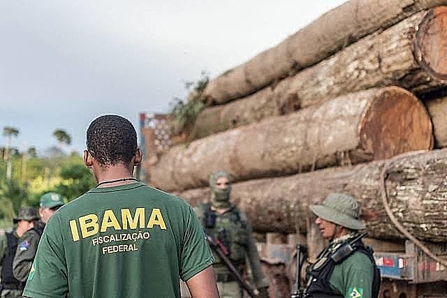 Desidratação de poder fiscalizador de órgãos como Ibama está entre destaques da agenda de Salles