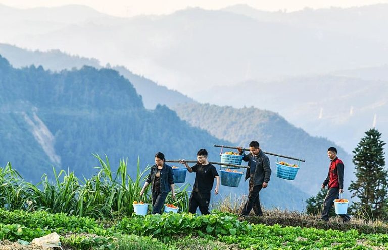 A China contra a fome e a extrema pobreza, na contramão do mundo ocidental