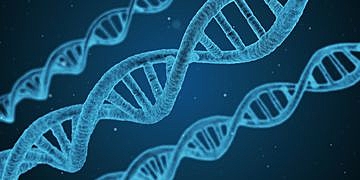 Nova lei autoriza teste de DNA em parentes para verificar a paternidade