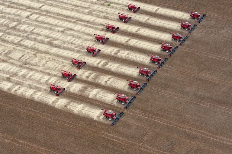 Livro reúne investigações sobre dinâmica do capitalismo na tragédia do agronegócio brasileiro