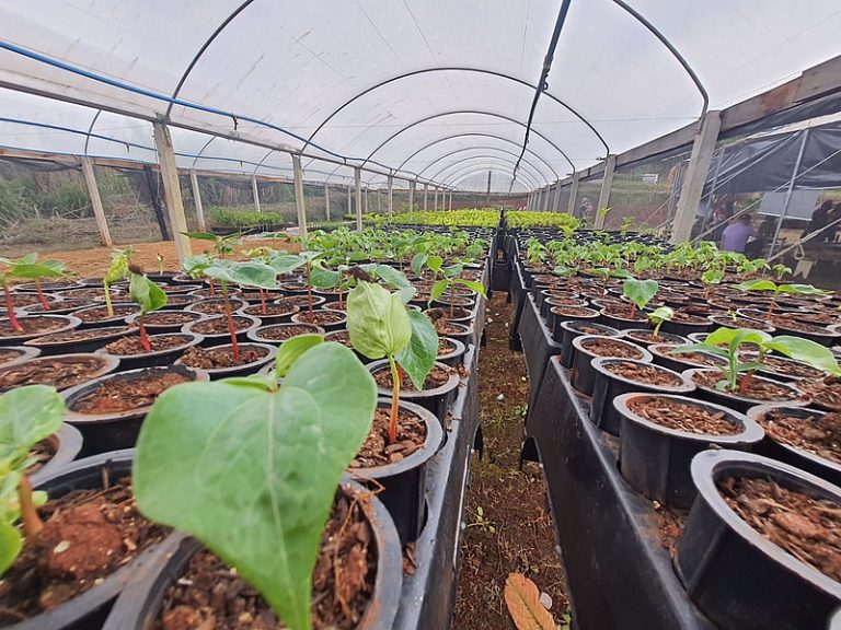 Por uma agricultura sensível à qualidade nutricional dos alimentos
