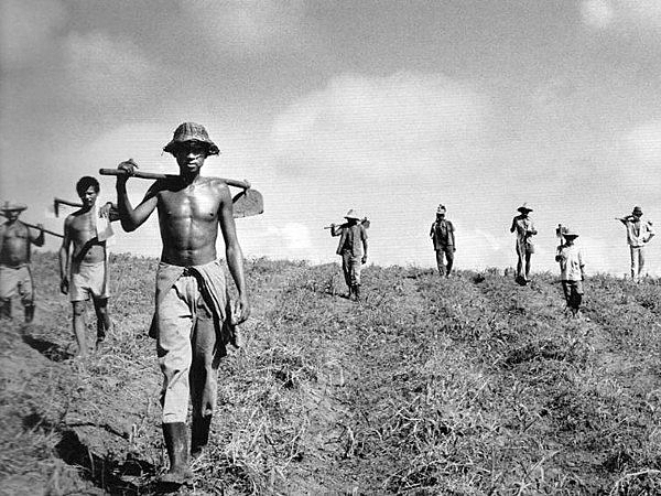 MST tem base essencialmente rural e, ao chegar no Nordeste, se chocou com realidade oligárquica e repressão executada por jagunços