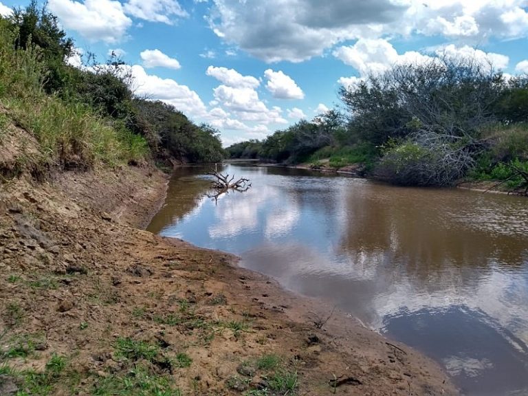 Rio Gravataí (RS) resiste em meio a estiagem, poluição histórica e lentidão governamental