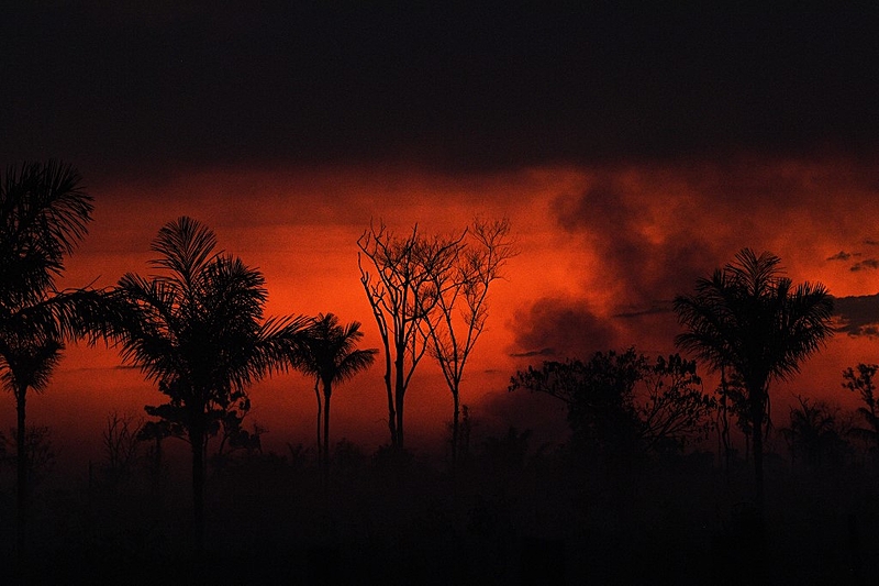 Efeito Bolsonaro: desmatamento na Amazônia cresceu 56,6% nos últimos três anos, segundo Ipam