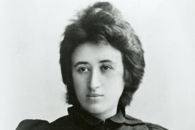"Rosa Luxemburgo compreende o proletariado socialista em luta revolucionária como um movimento que aproxima o Evangelho de Jesus Cristo da fraternidade social "