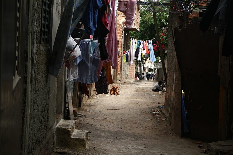 Em área nobre de Porto Alegre, quilombo Kédi segue em vigília contra especulação imobiliária