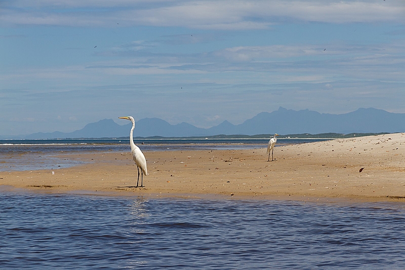 baía de sepetiba