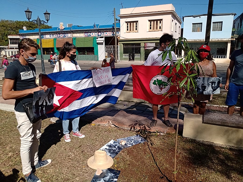 Em Cuba, data foi resgatada com ato simbólico que plantou árvores