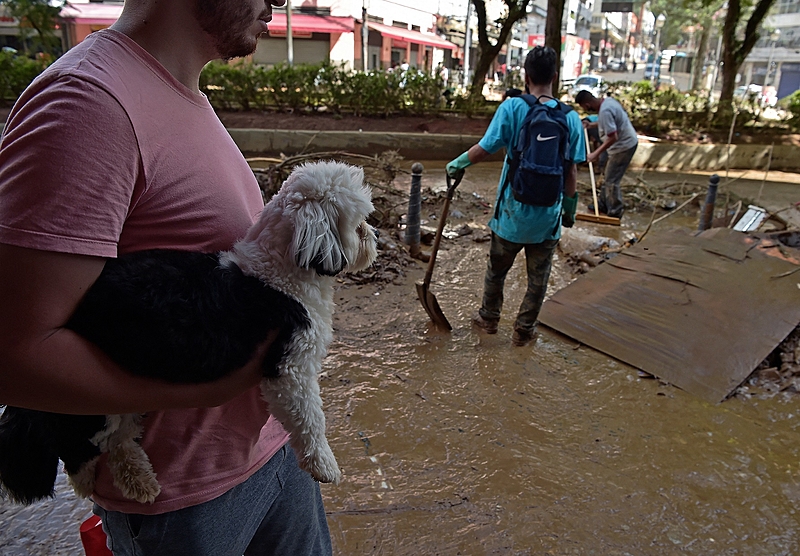 animal petrópolis