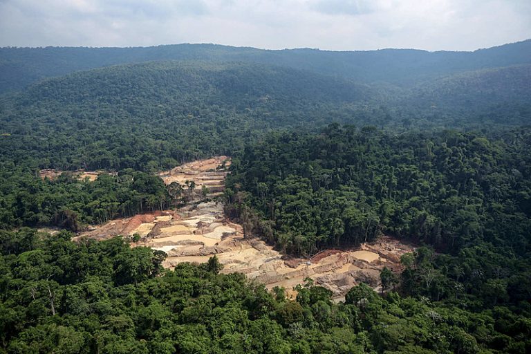 Terra Indígena Kayapó tem mais de 17% de área tomada pelo fogo