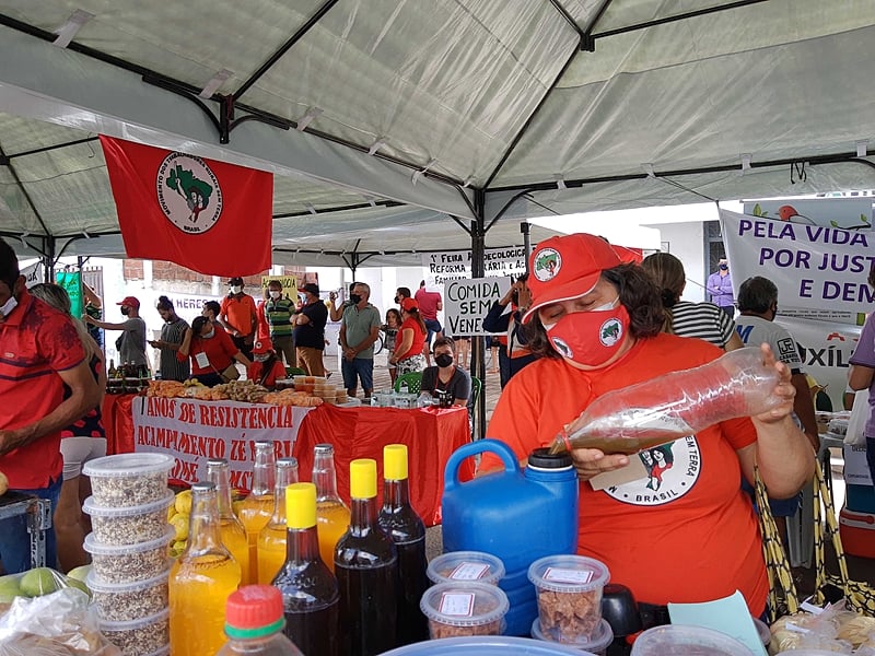 produção agroecologica