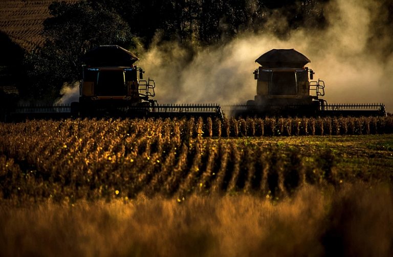 Agricultura voltada à exportação transforma a comida em vilã da inflação