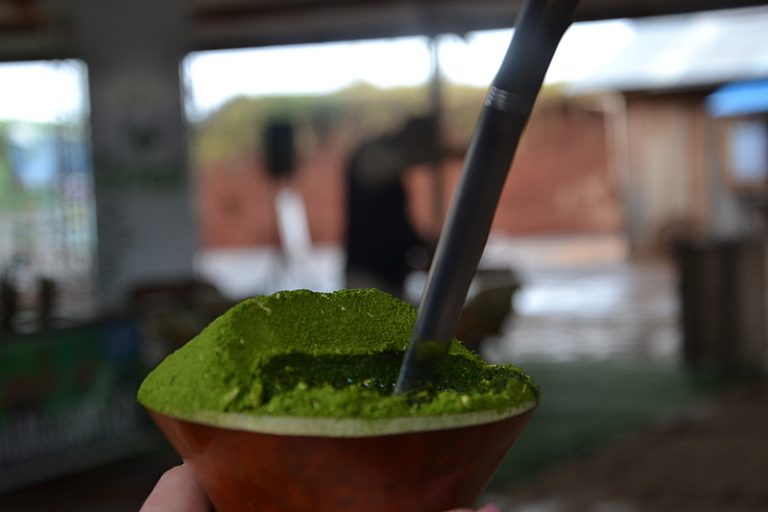 Erva-mate pode se tornar primeiro patrimônio cultural imaterial do RS