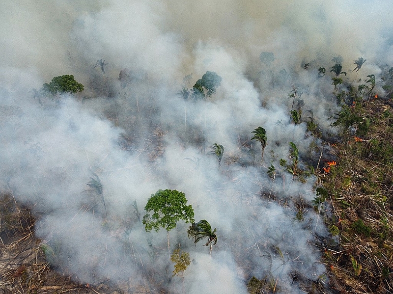 Município de Lábrea, no sul do Amazonas, tem área devastada por queimadas equivalente a quase 15 mil campos de futebol