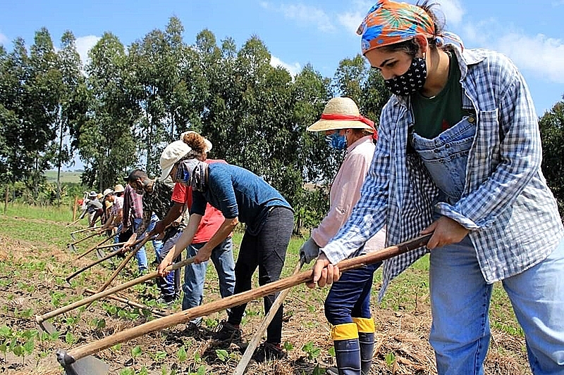 trabalhadores rurais