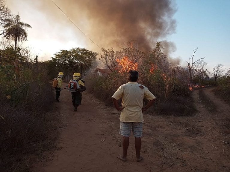 Comunidades tradicionais lutam contra o fogo no Maranhão e Tocantins