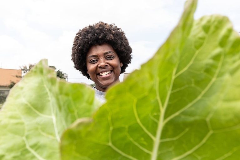 A luta pela soberania alimentar no Brasil