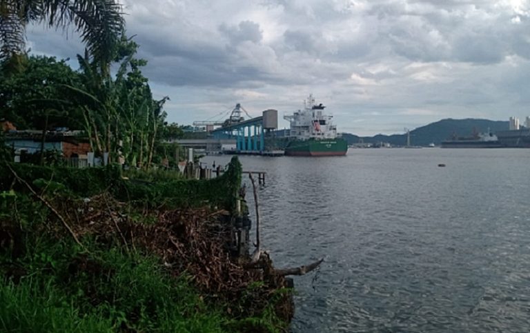 Comunidade caiçara do Guarujá fará denúncia internacional contra a Cargill