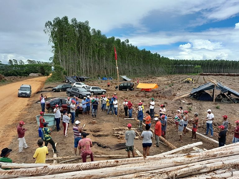 ‘Não comemos eucalipto’, diz MST sobre ocupação de área da Suzano; Justiça determina despejo