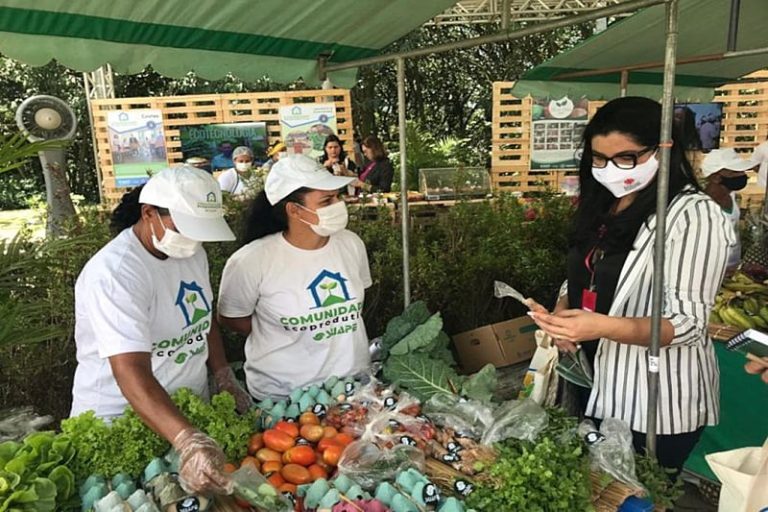 Quintais ecoprodutivos buscam soluções para insegurança alimentar em comunidades de PE