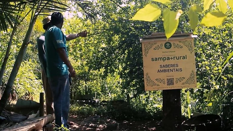 Hortas na periferia são legado ancestral de autonomia e alimentação saudável 