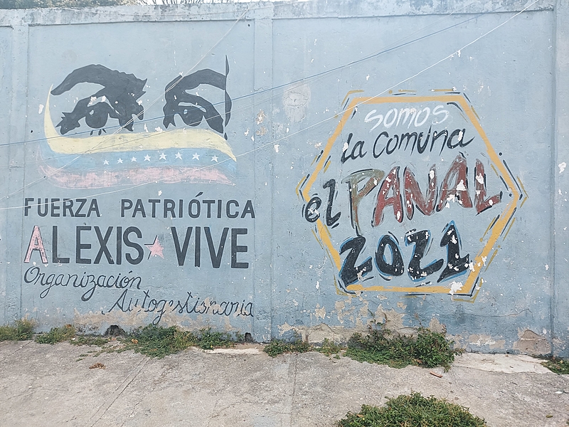 Panal 2021 é formada por oito conselhos e pelo movimento Alexis Vive