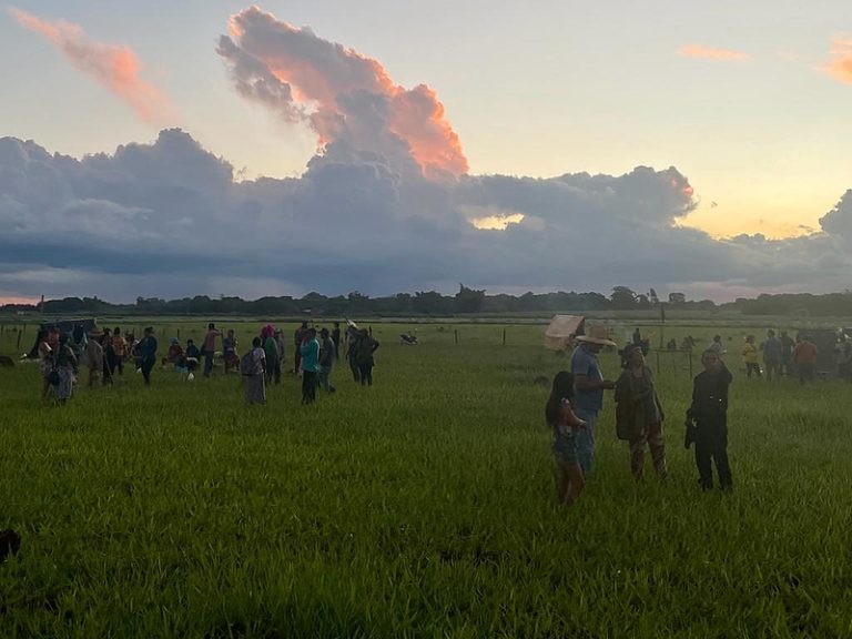 'Conflito iminente': povo Guarani Kaiowá cobra retirada de empresas de território indígena