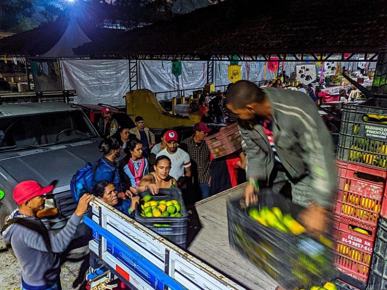 Assentados e acampados do MST iniciam preparação da Feira Nacional da Reforma Agrária em SP