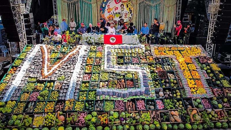 MST realiza ação “Cultivando Solidariedade” com doação de mais de 25 toneladas de alimentos saudáveis